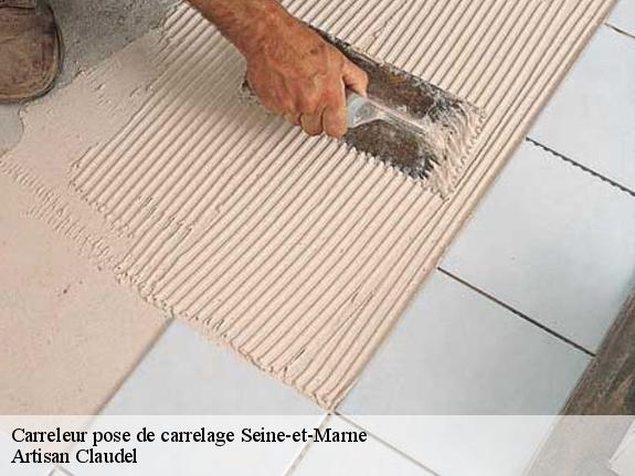 Carreleur pose de carrelage 77 Seine-et-Marne  Artisan Claudel