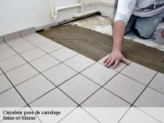 Carreleur pose de carrelage Seine-et-Marne 