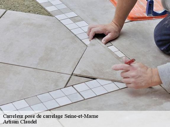 Carreleur pose de carrelage Seine-et-Marne 