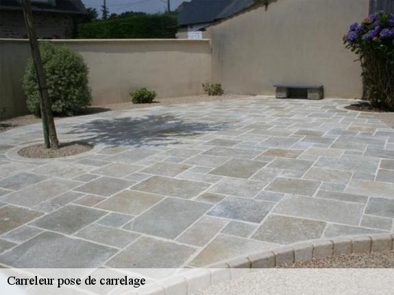 Carreleur pose de carrelage Seine-et-Marne 