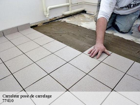 Carreleur pose de carrelage  77410