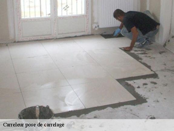 Carreleur pose de carrelage  77630