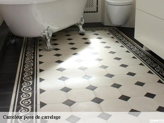 Carreleur pose de carrelage  77630