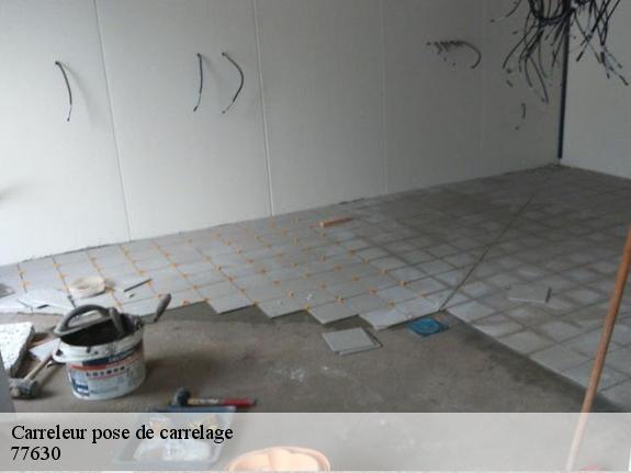 Carreleur pose de carrelage  77630