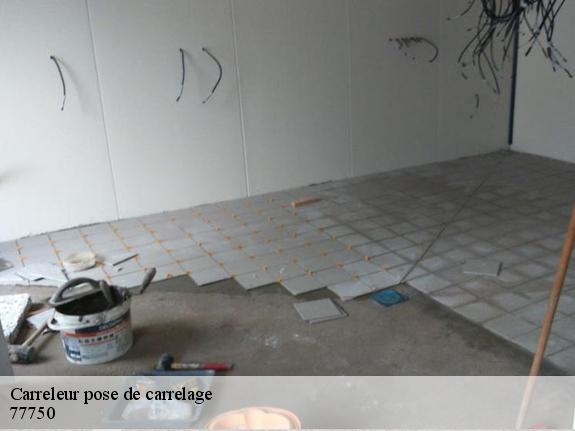 Carreleur pose de carrelage  77750