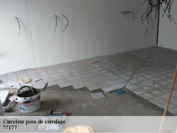 Carreleur pose de carrelage  77177