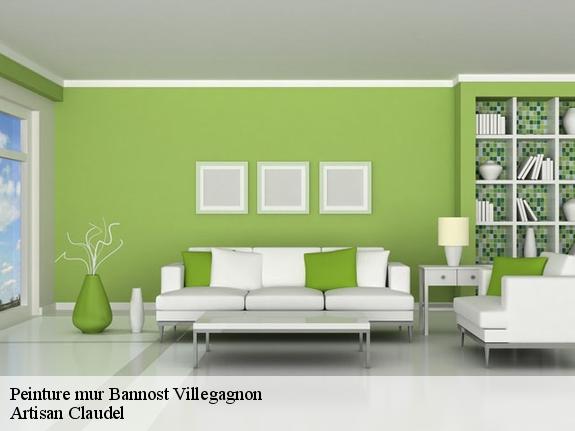 Peinture mur  77970