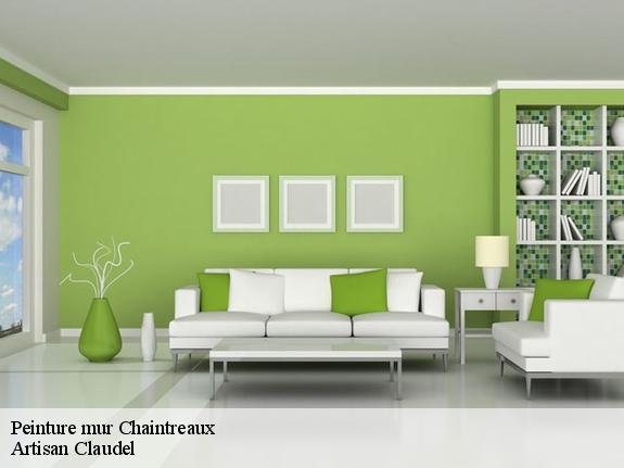 Peinture mur  77460