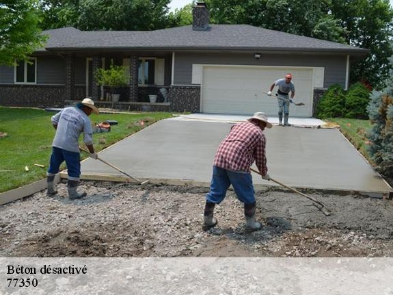 Béton désactivé  77350