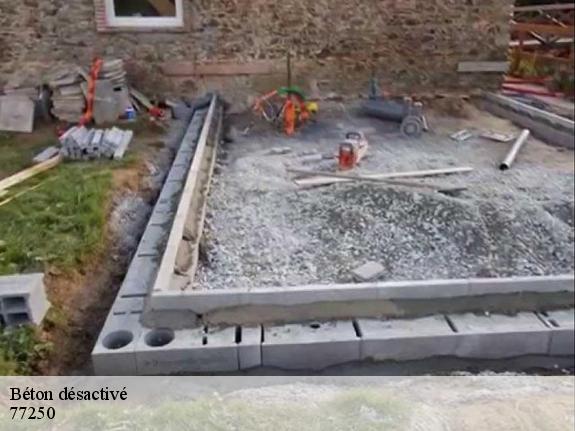 Béton désactivé  77250